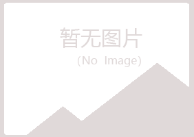 黄山区埋没机械有限公司